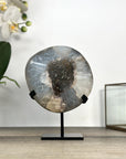 Natural Quartz Geode Crystal - Unique Mineral Display from Uruguay - MWS2889
