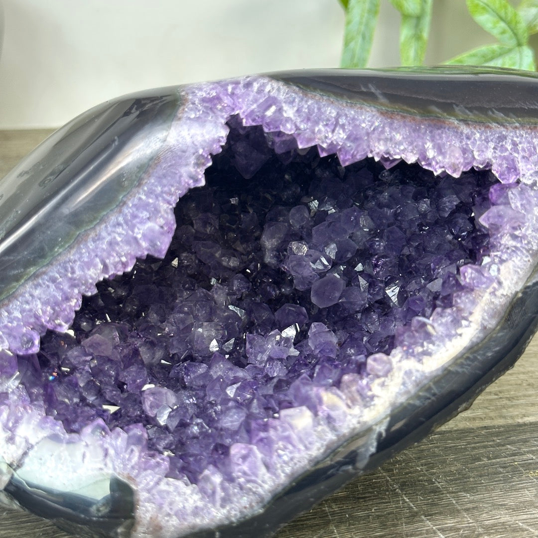 Uruguayan Amethyst geode with agate Shell - STGE0044