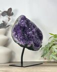 Large Natural Deep Purple Amethyst Specimen - MWS3238