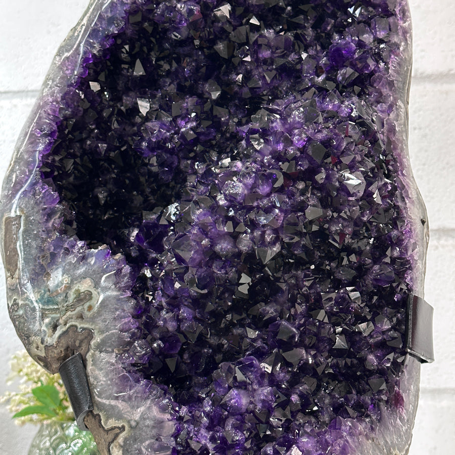 Masive Natural Amethyst Crystal Cluster - MWS2441