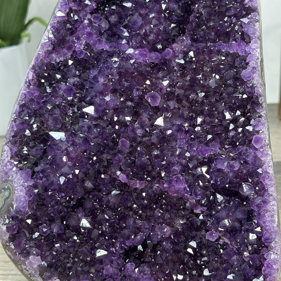 XL Natural Amethyst Selfstanding Cathedral - CBP1276