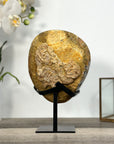 Natural Amethyst Geode with Calcite Inclusions on Stand - MWS2681