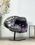 Natural Uruguayana Amethyst Geode on Stand - MWS2562