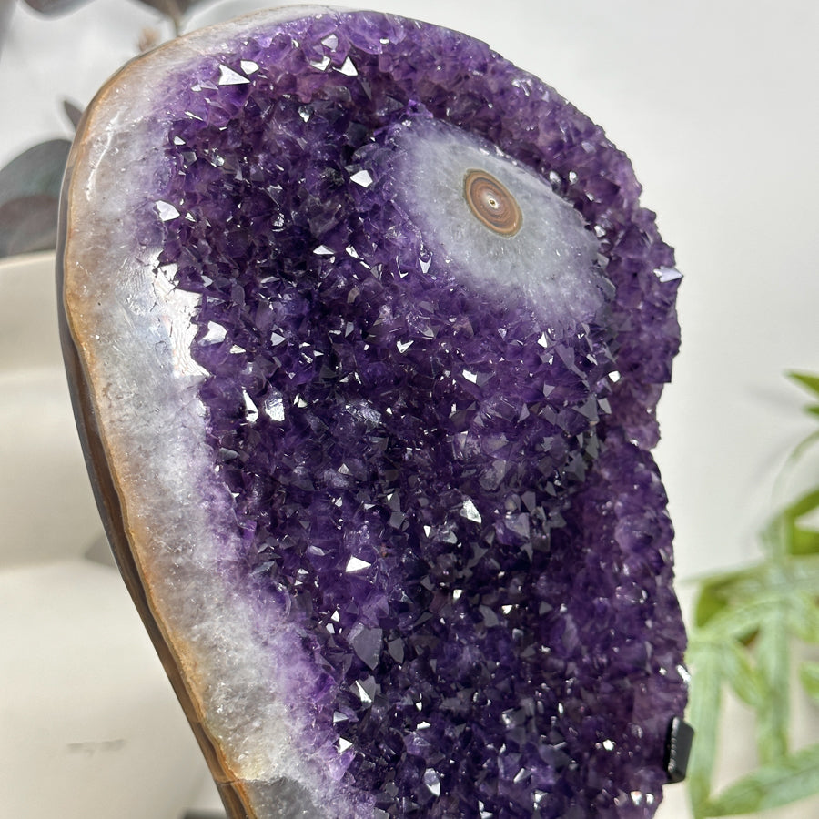 Natural Uruguayan Amethyst Crystal with Stalactite Eye Formation - MWS3194