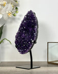 Uruguayan Amethyst Crystal Cluster on Stand - MWS2635