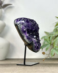 Natural uruguayan Amethyst Cluster on Stand - MWS3270