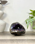 Amethyst Geode with Deep purple Crystals & Polished Shell - STGE0119