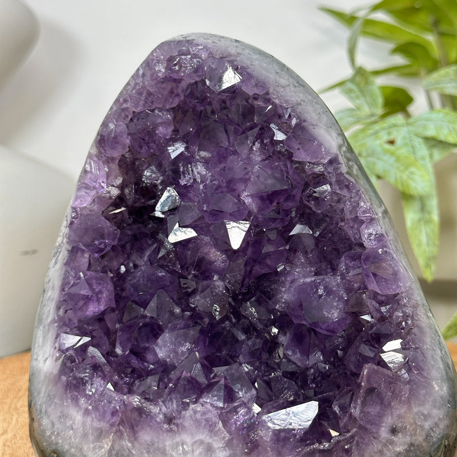Uruguayan Amethyst Cathedral from Uruguay - CBP1298