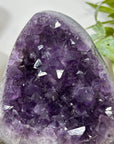 Uruguayan Amethyst Cathedral from Uruguay - CBP1298