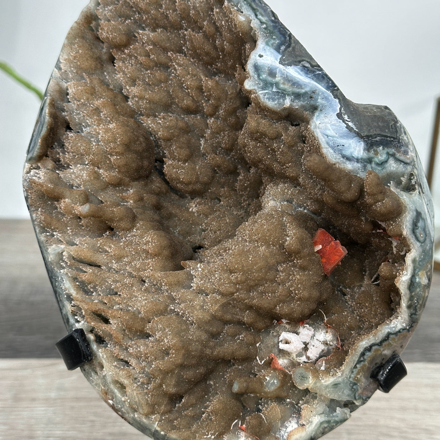 Natural Geode Mineral Specimen with Druzy Crystal Formations - MWS2678