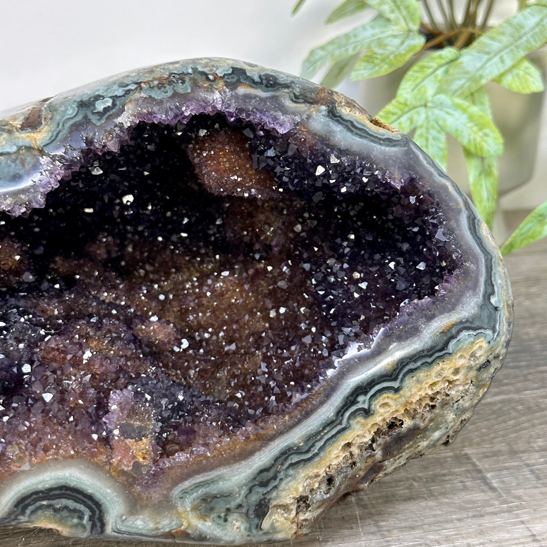 Natural Amethyst Druzy &amp; Jasper Geode - STGE0115