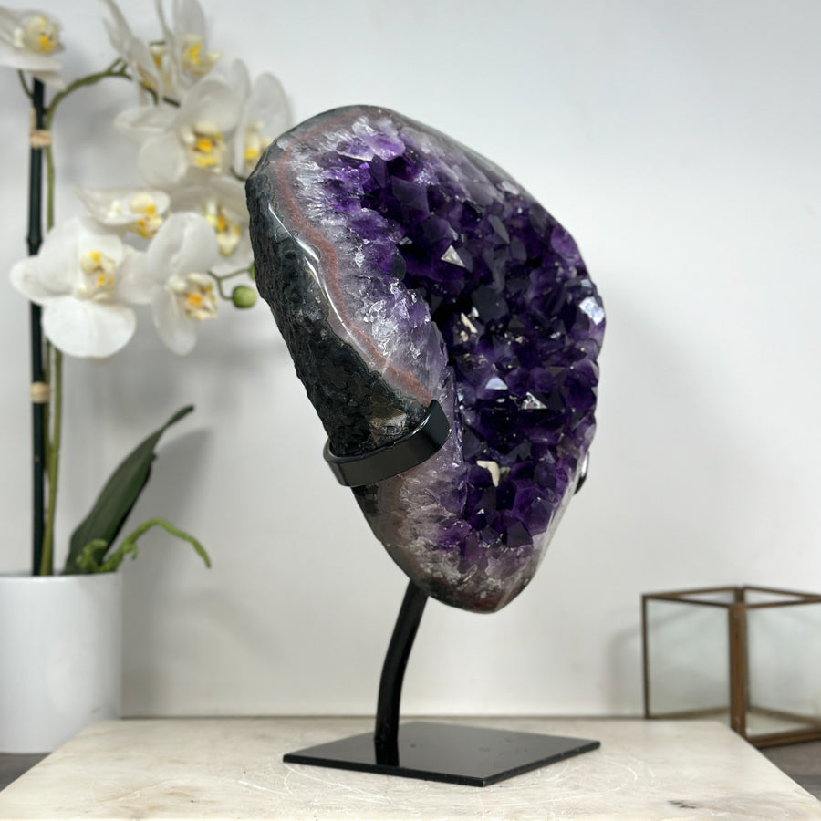 Impresive Large Amethyst Geode with Unique huge Shinny Crystals - MWS1804