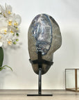 Uruguayan Amethyst Geode with agate Shell Statement Piece - MWS2962