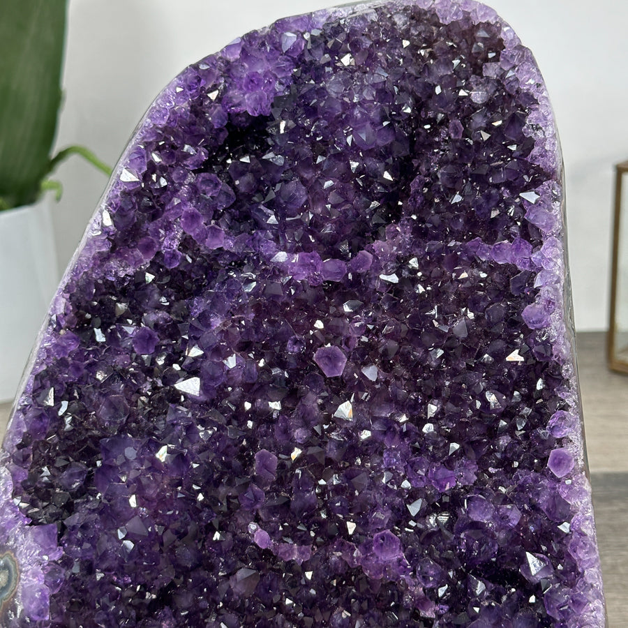 XL Natural Amethyst Selfstanding Cathedral - CBP1276