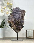 Outstanding Uruguayan Druzy Amethyst Crystal Formation - MWS2092