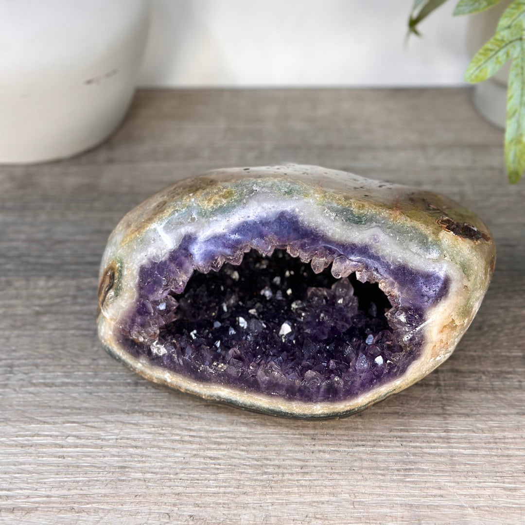 Uruguayan Amethyst Geode with Polished Shell - STGE0120