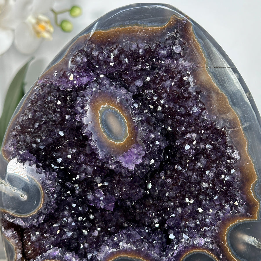 Amethyst Geode with Agate Shell for Home Decor Display