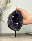 Top Quality Natural Amethyst Geode With Green Jasper Shell - MWS2521