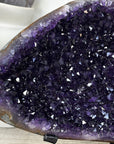 Top Grade Deep Purple Uruguayan Amethyst Geode - MWS3398