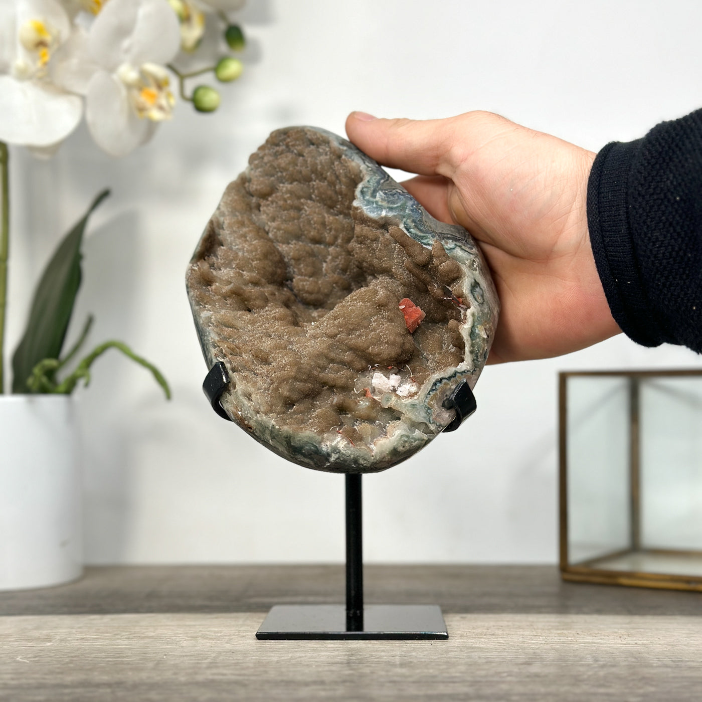 Natural Geode Mineral Specimen with Druzy Crystal Formations - MWS2678