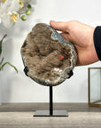 Natural Geode Mineral Specimen with Druzy Crystal Formations - MWS2678