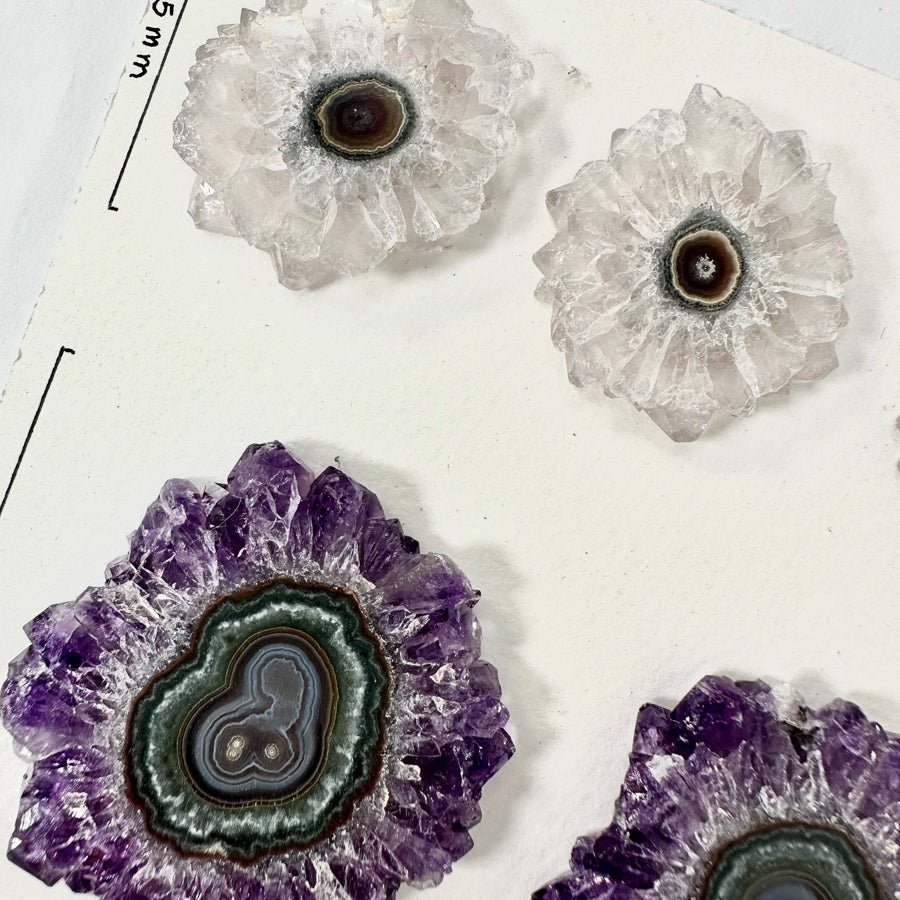 Wholesale Amethyst &amp; Quartz Stalactite Slices for Jewelry Making - Bulk Flat Set - STS0022