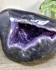 Natural Amethyst Geode with Agate Shell - STGE0098