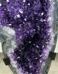 Uruguayan Amethyst Geode with agate Shell Statement Piece - MWS2962