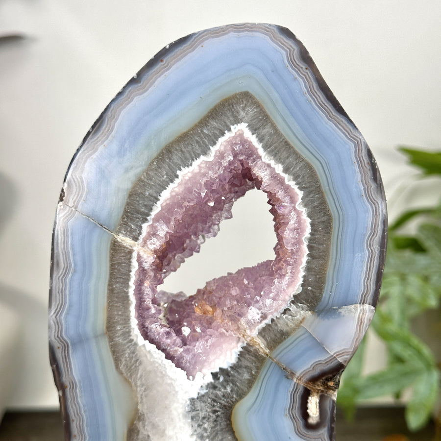 Unique Natural Agate, Amethyst &amp; Quartz Geode Slice portal - MWS3244