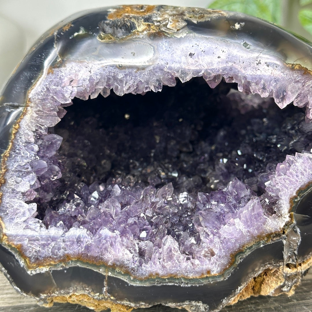 Natural Amethyst &amp; agate Geode - STGE0045