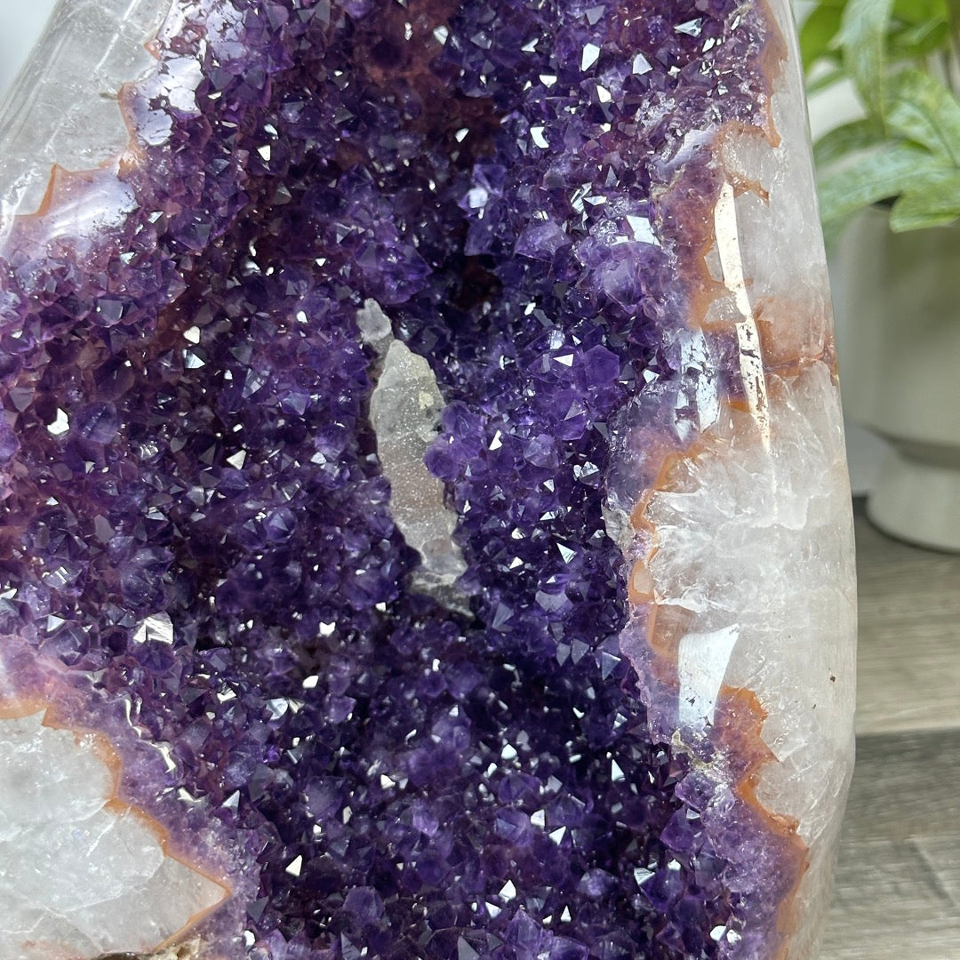 Natural Uruguayan Amethyst Crystal Cluster with XXL Deep Purple Crystals - CBP1404