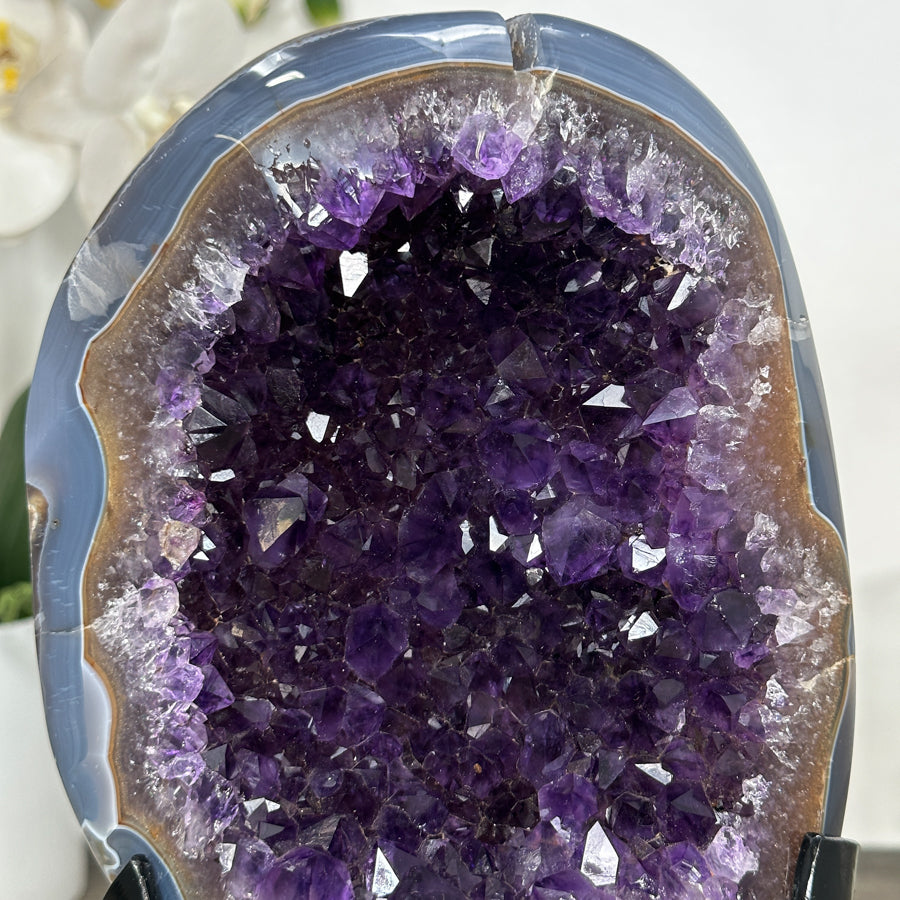 Top Grade Uruguayan Amethyst Geode with Agate Shell - MWS3019