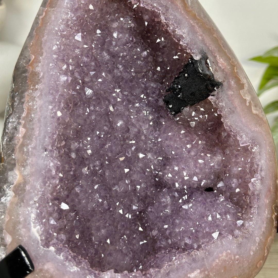 Uruguayan Amethyst Geode with Stunning Agate Shell - MWS3388