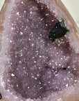 Uruguayan Amethyst Geode with Stunning Agate Shell - MWS3388