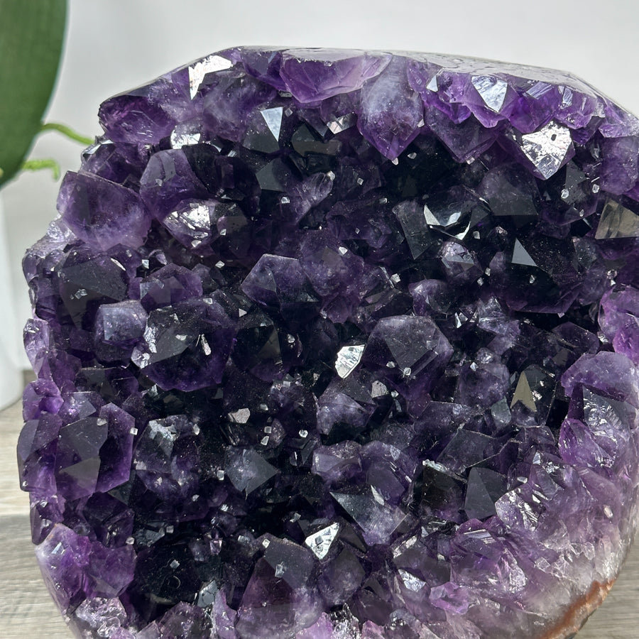 Large Uruguayan Amethyst Cathedral - CBP1265