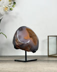 Natural Agate Geode in Orange Hues With Metal Stand - MWS2761