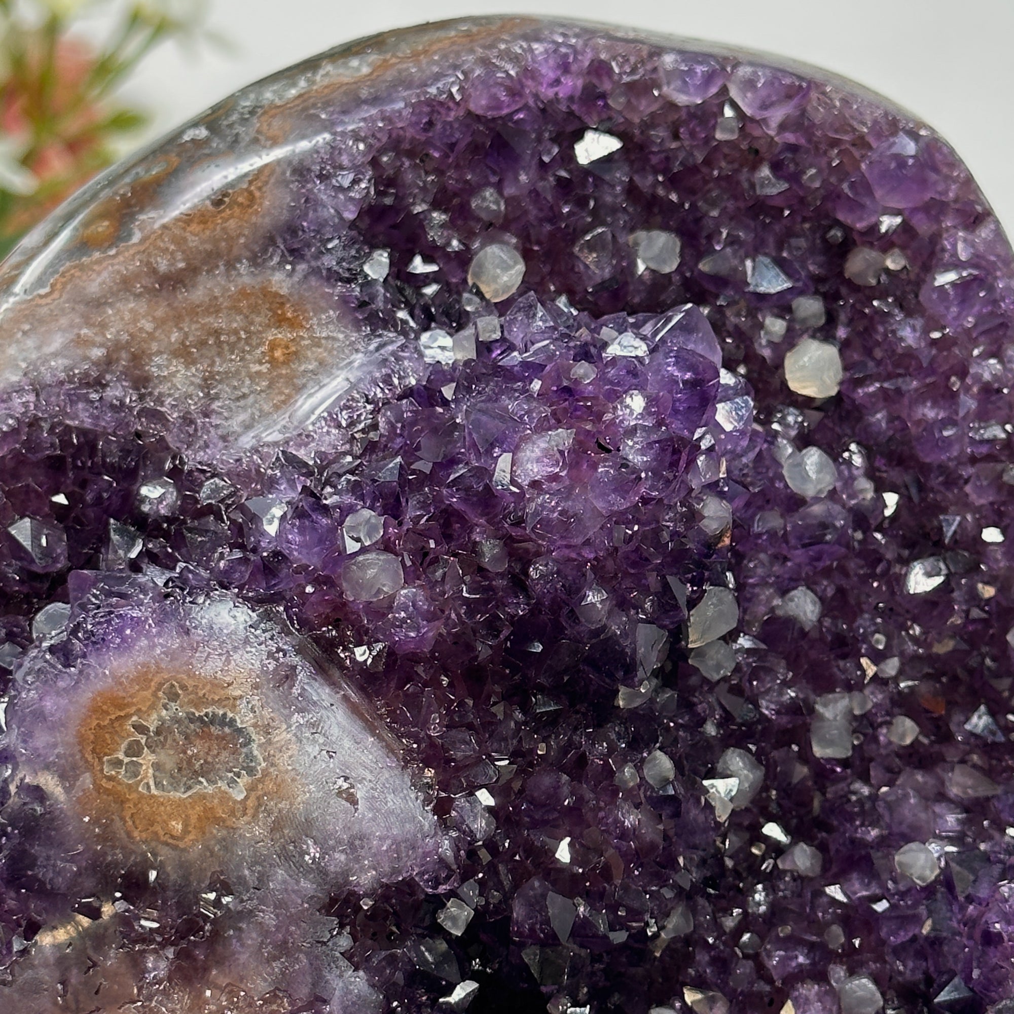 Beautiful Amethyst Stone Geode with Calcite Crystal Inclusiones - AWS0474