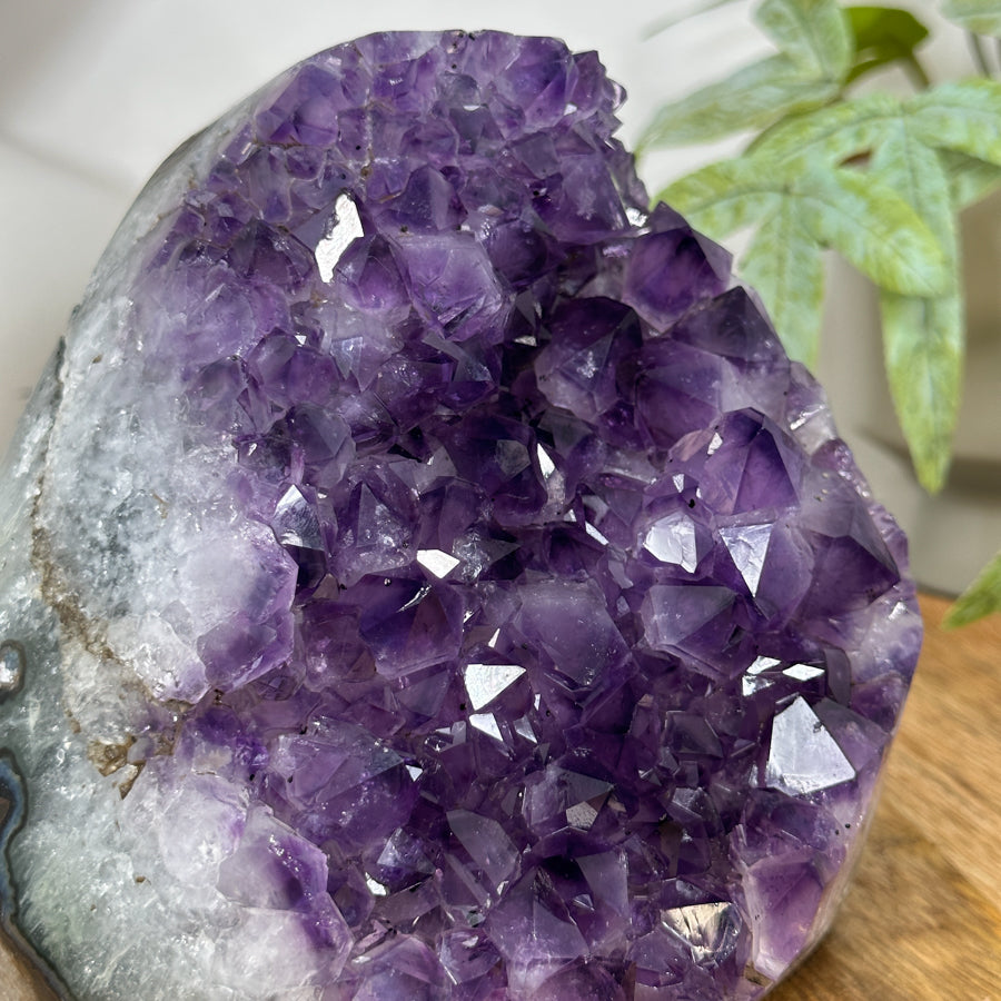 Uruguayan Amethyst Cathedral Statement Piece - CBP1300