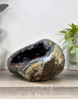 Natural Amethyst Druzy & Jasper Geode - STGE0115