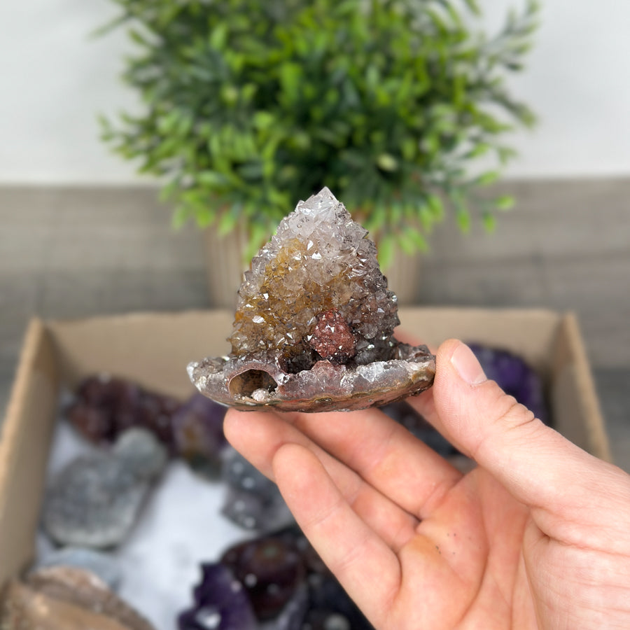 Mineral Specimens Lot - MSLT0123