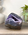 Natural Amethyst Geode with Agate Shell - STGE0098