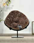 Brown Tone Druzy Agate Geode for Home Decor Display - MWS2675