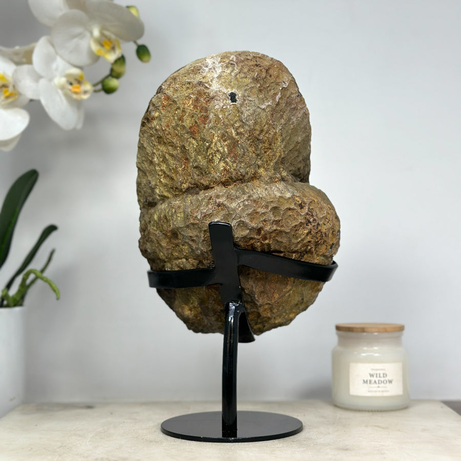 Amethyst Geode with Stunning Yellow Banding