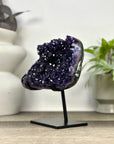 Top Grade Amethyst Crystal Specimen on Metal Stand - MWS3380