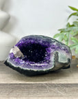 Natural Deep Purple Geode with Green Jasper Shell - STGE0047