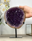 Natural Amethyst Geode with Stunning Quartz Shell - MWS2456