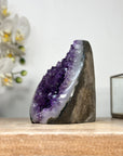 Natural Amethyst Crystal Cluster with Cut Base - CBP1150