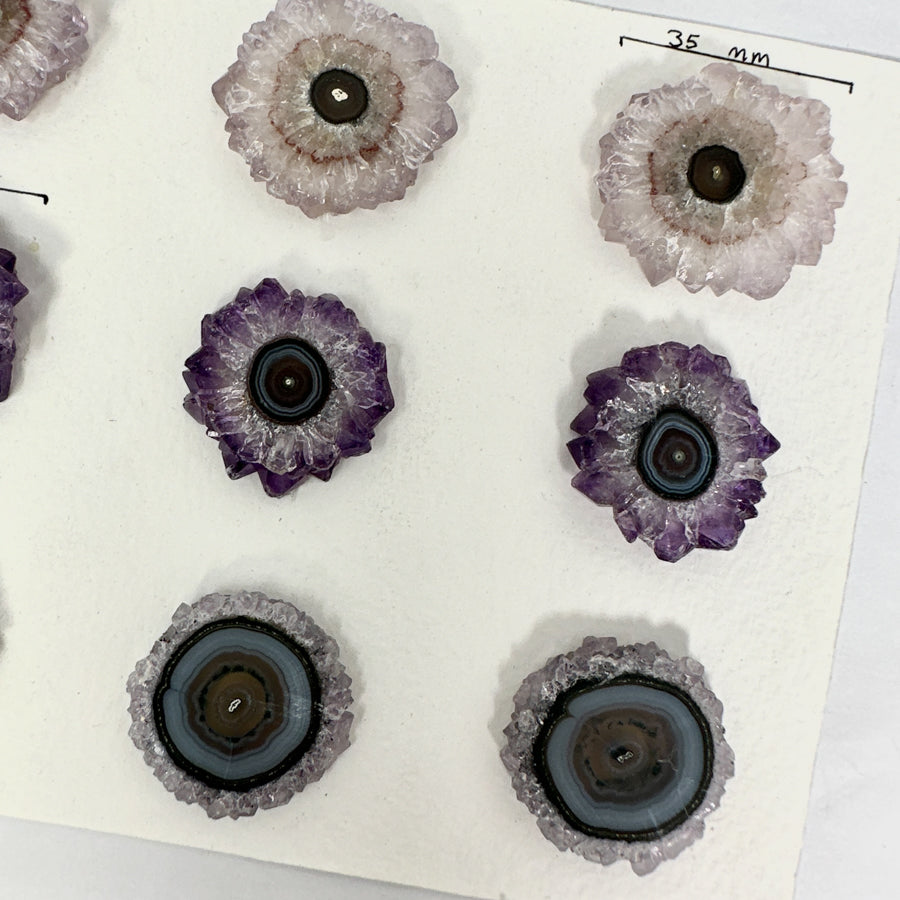Natural Amerhyst Stalactite Slices Wholesale Flat - Ideal for Pendants - STS0036