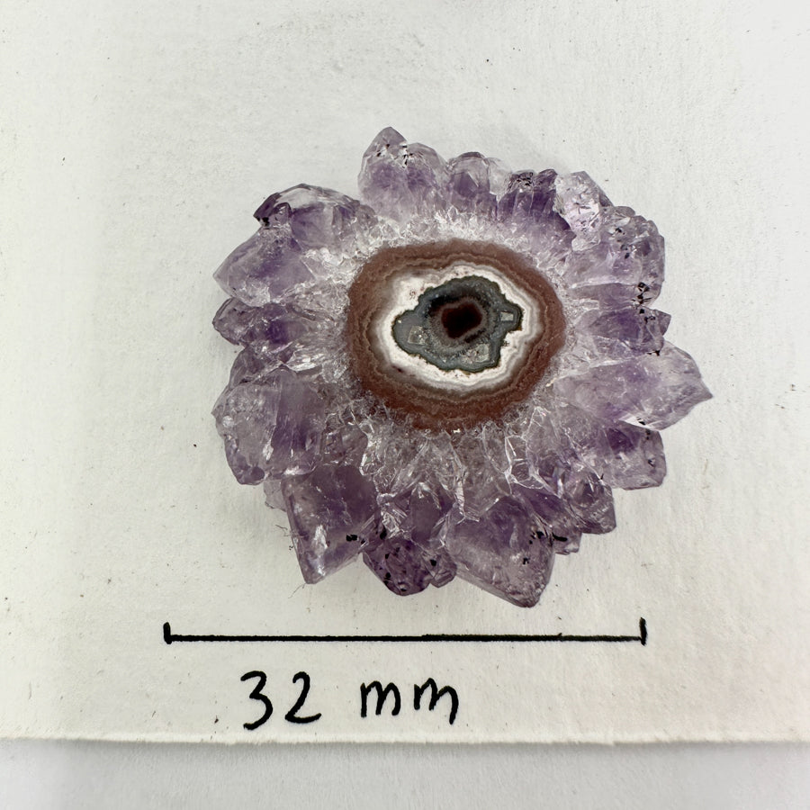 Natural Amethyst Stalactite Slices Wholesale Flat - Ideal for Pendants - STS0031