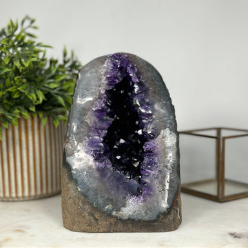 Outstanding Amethyst Geode Cave with Deep Purple A grade Crystals - CBP1022
